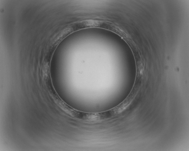 X0000080170325200612221257