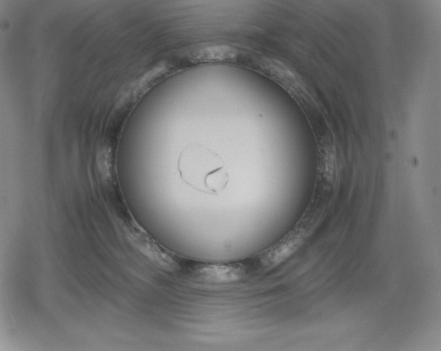 X0000080170326200612221257