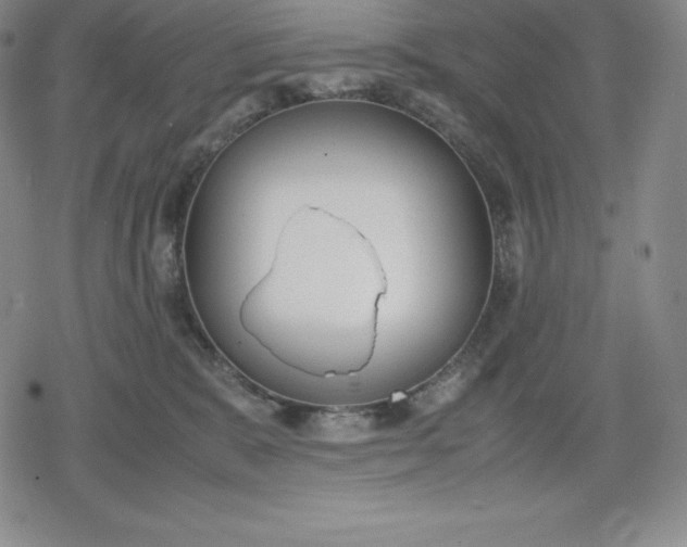 X0000080170327200612221257