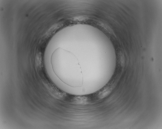 X0000080170328200612221257