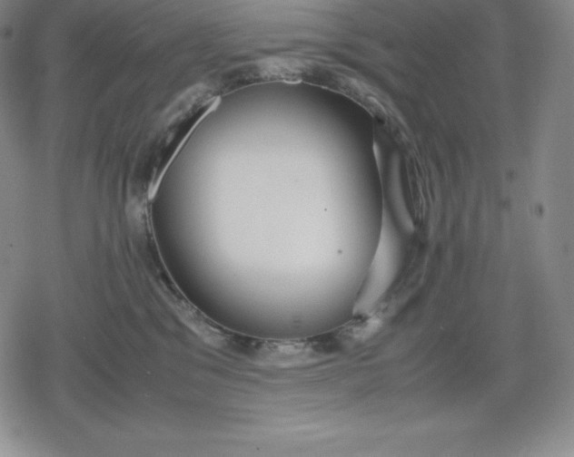 X0000080170329200612221257