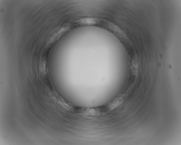 X0000080170330200612221257