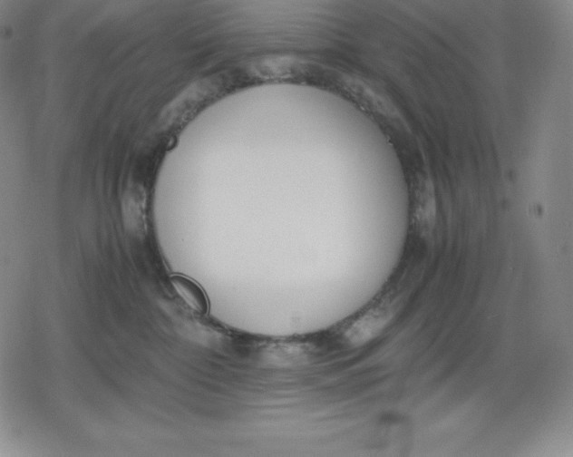 X0000080170332200612221257