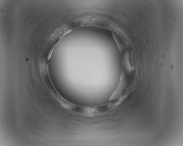 X0000080170333200612221257