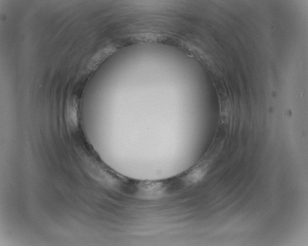 X0000080170334200612221257