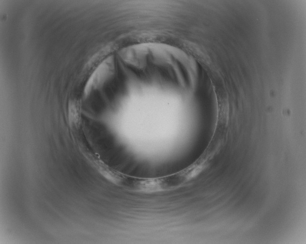 X0000080170335200612221257