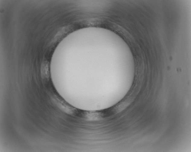 X0000080170336200612221257