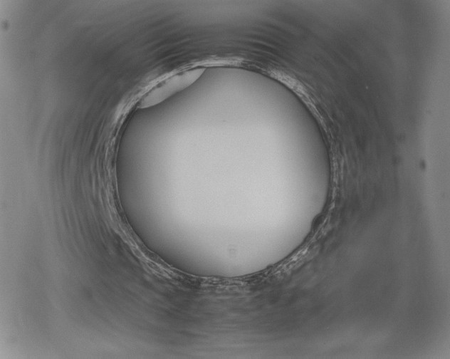 X0000080170337200612221256