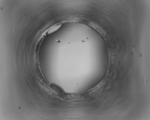 X0000080170338200612221256