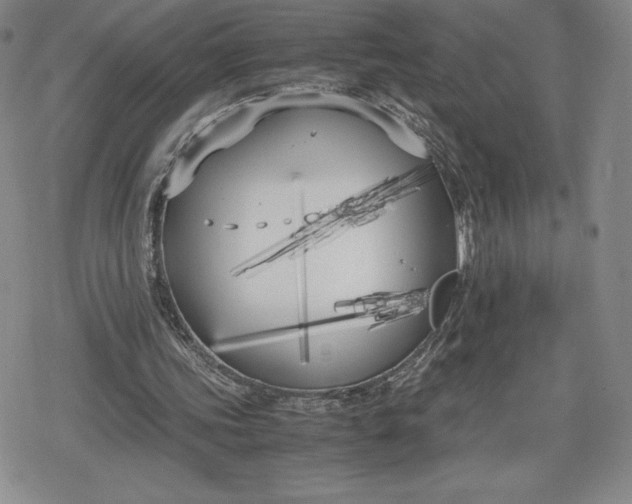 X0000080170339200612221256