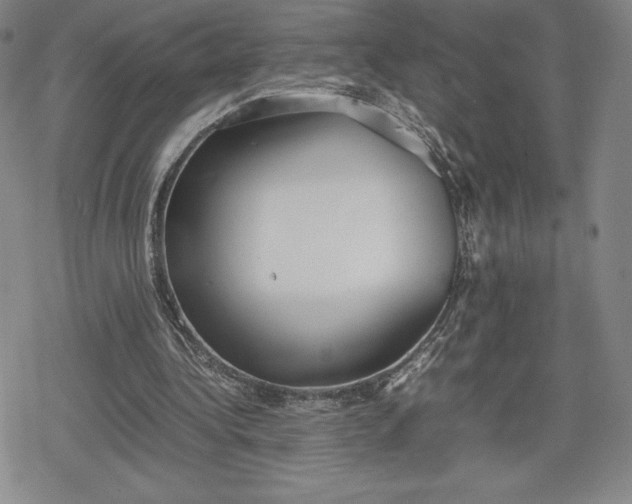 X0000080170340200612221256