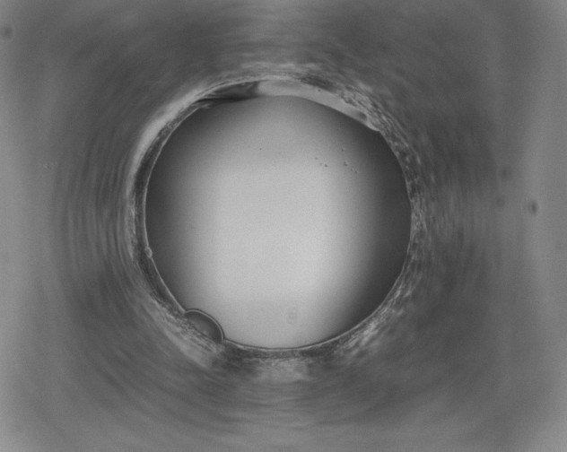 X0000080170342200612221256