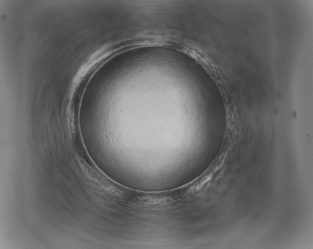 X0000080170343200612221256