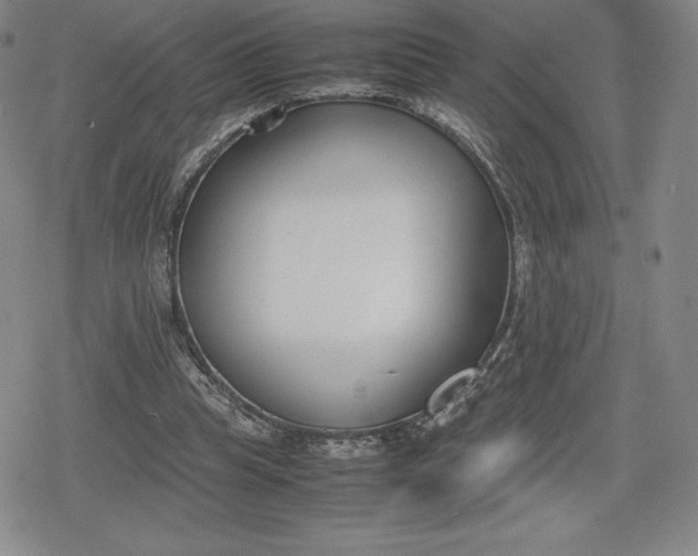 X0000080170345200612221256