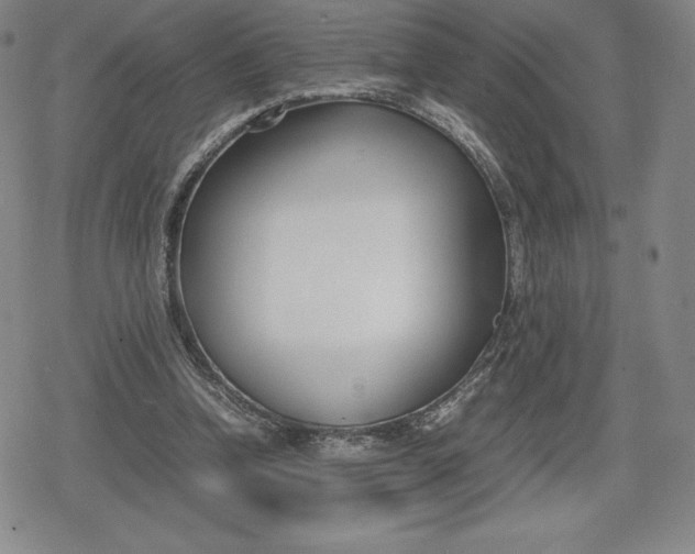 X0000080170346200612221256