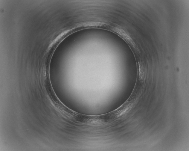 X0000080170348200612221256