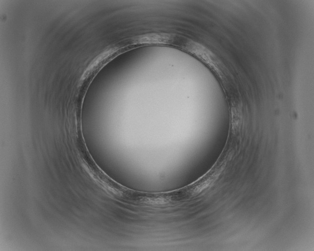 X0000080170349200612221256