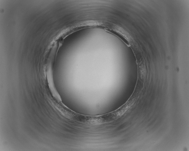 X0000080170350200612221256