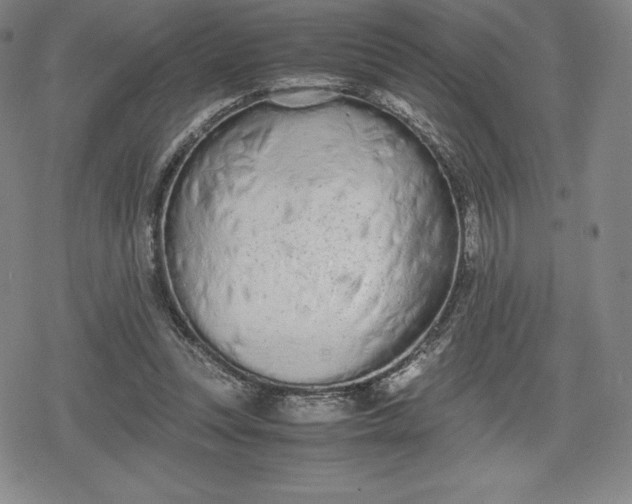 X0000080170351200612221256