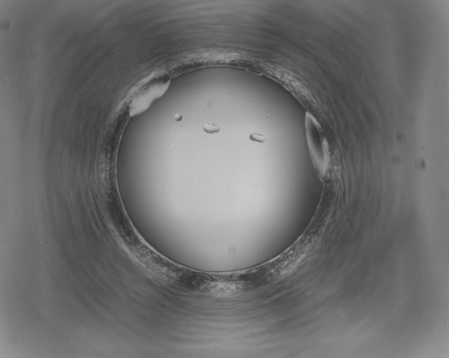 X0000080170352200612221256