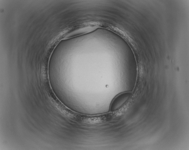 X0000080170353200612221256