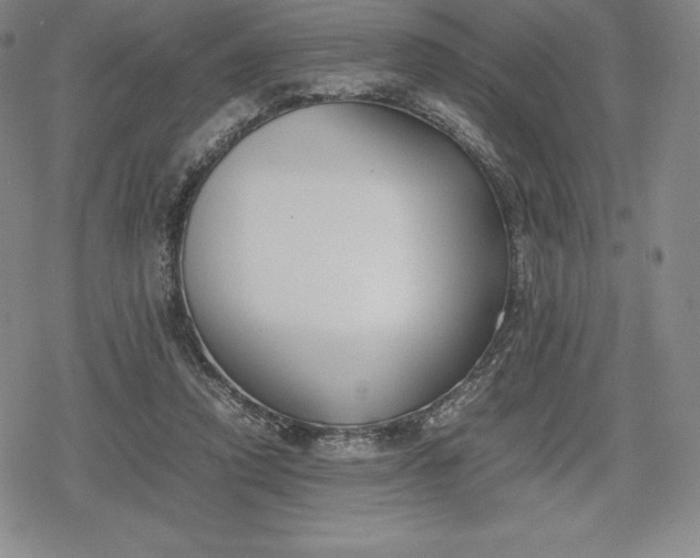 X0000080170354200612221256