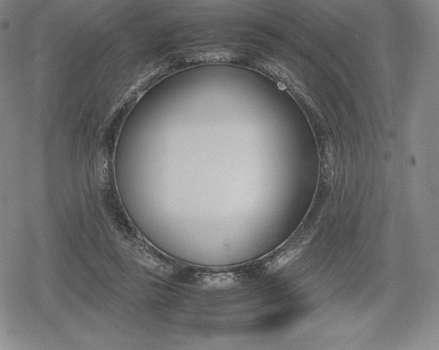 X0000080170355200612221256