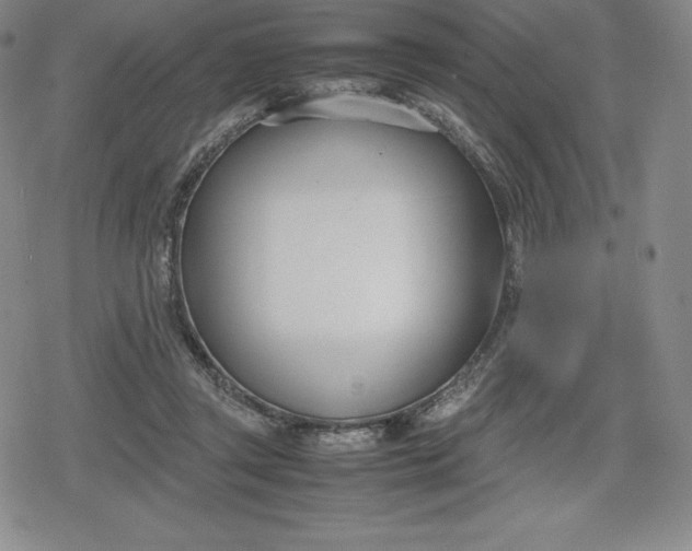 X0000080170357200612221256