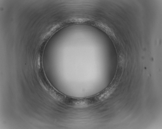 X0000080170358200612221256