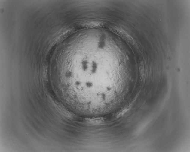 X0000080170359200612221256