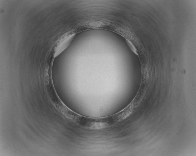 X0000080170360200612221256