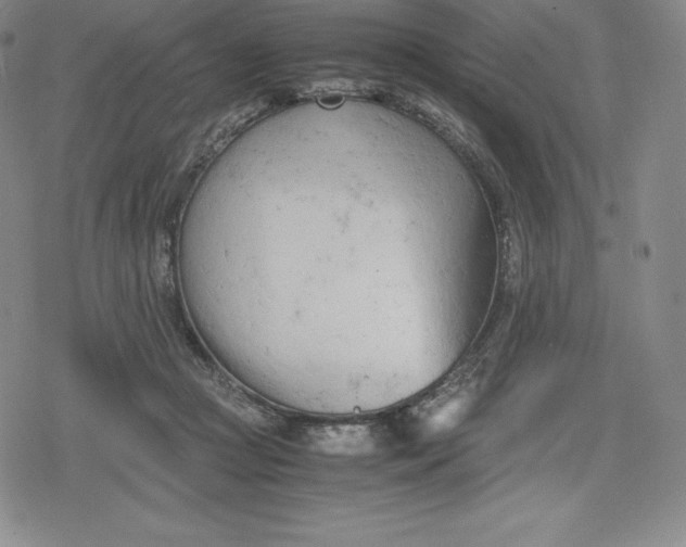 X0000080170361200612221256