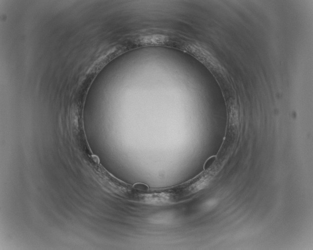 X0000080170363200612221256