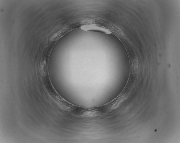 X0000080170364200612221256