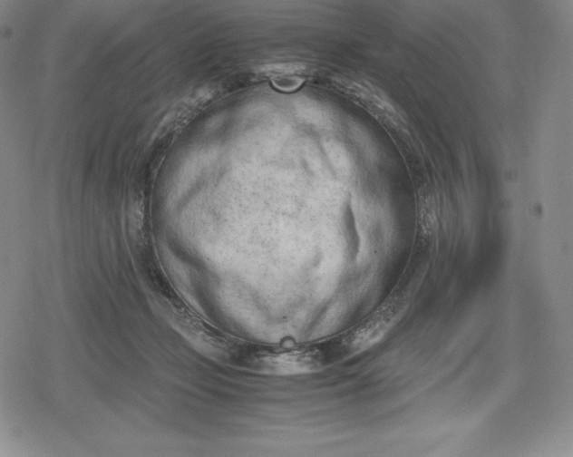 X0000080170365200612221256