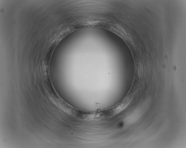 X0000080170366200612221257