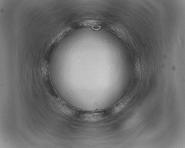 X0000080170367200612221257