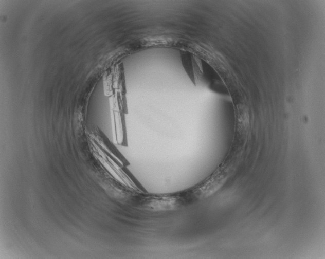 X0000080170369200612221257