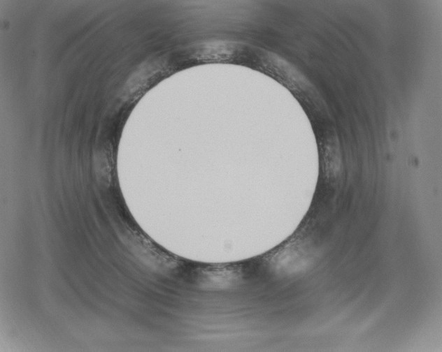 X0000080170370200612221257