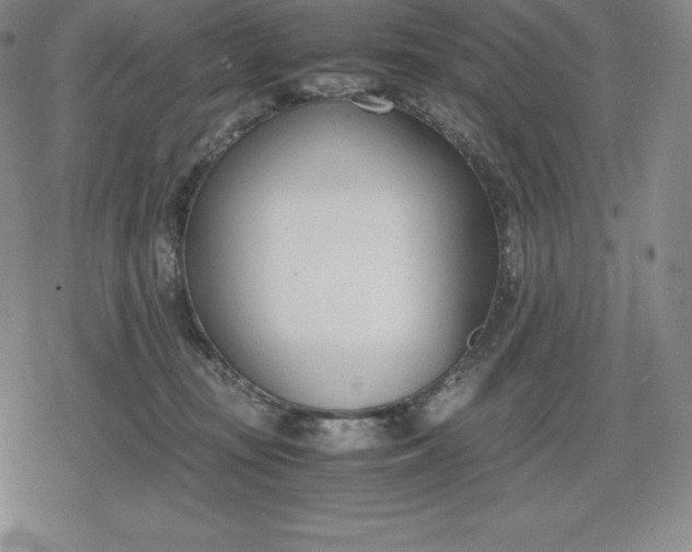 X0000080170371200612221257