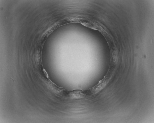 X0000080170372200612221257