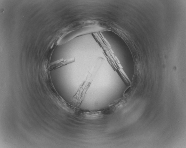 X0000080170373200612221257