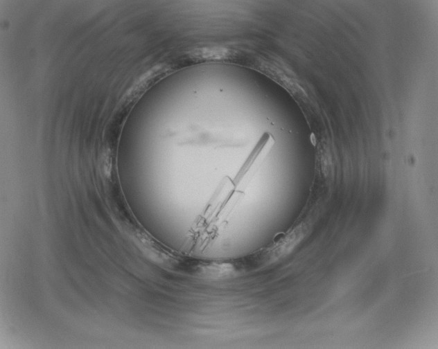 X0000080170374200612221257