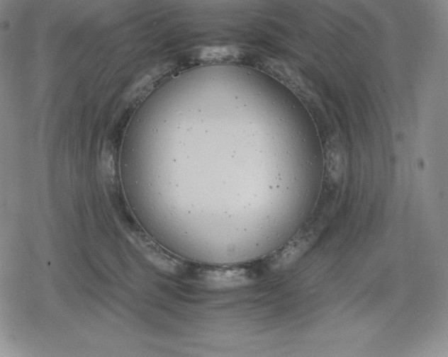 X0000080170375200612221257