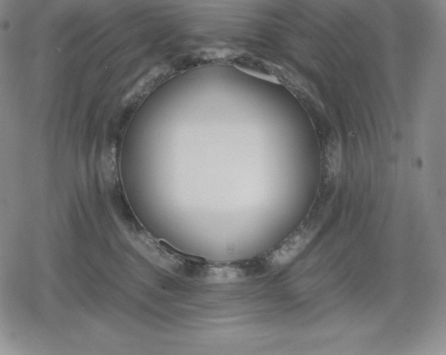 X0000080170376200612221257