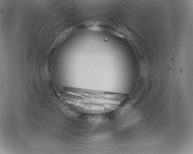 X0000080170377200612221257