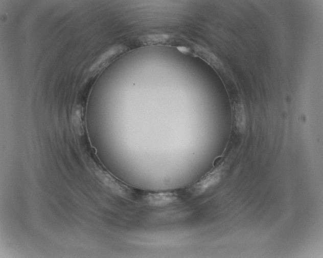 X0000080170378200612221257