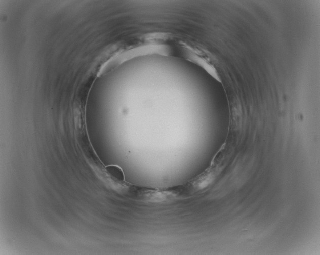 X0000080170379200612221257