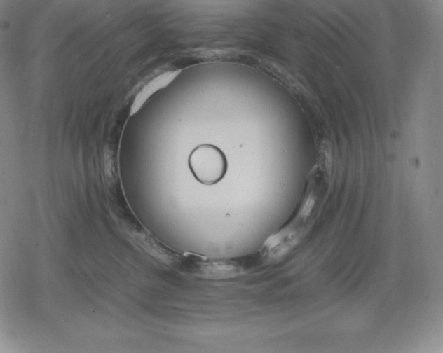 X0000080170380200612221257