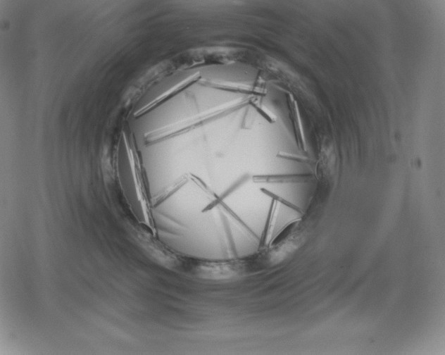 X0000080170381200612221257